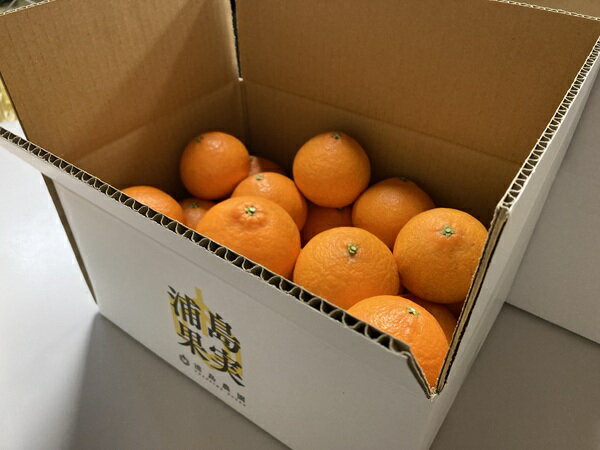 【ふるさと納税】訳あり 愛果28号 5kg サイズミックス 【2026年1月以降発送】 紅まどんなと同一品種 みかん 愛媛 数量限定 先行予約 柑橘 伊予市｜B220