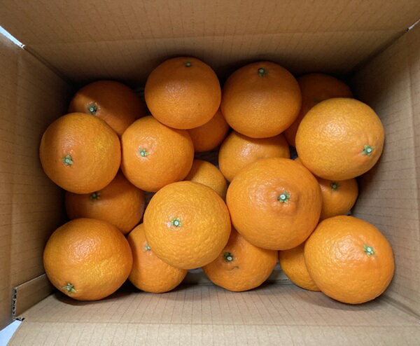 愛媛県伊予市の画像3