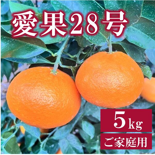 ڤդ뤵Ǽǡ۰285kgľͽ12ȯɲ̸갦ɲ͵̰ͽԡB256