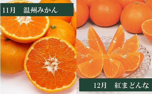 【ふるさと納税】【2026年先行予約】えひめかんきつ定期便（全6回）柑橘 紅まどんな 日の丸みかん 伊予柑 デコポン せとか 河内晩柑 | F01