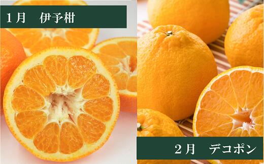 【ふるさと納税】【2026年先行予約】えひめかんきつ定期便（全6回）柑橘 紅まどんな 日の丸みかん 伊予柑 デコポン せとか 河内晩柑 | F01 f382108-iyo-10000089 愛媛県伊予市 サンプル画像3