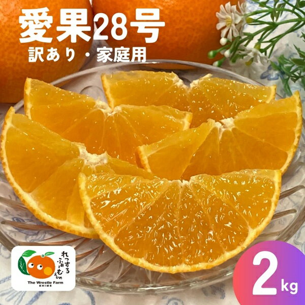 ڤդ뤵Ǽǡ۰285kgߤɲ2024ǯ12ȯͽ̸갦ɲ͵̰ͽԡB251