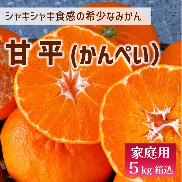 ڤդ뤵ǼǡۤȤХͤ5kgͽ2025ǯ1ȯɲ̸갦ɲ͵̰ͽԡC55