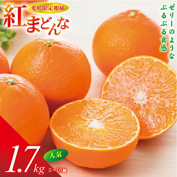 ڤդ뤵ǼǡB36Ȥޤɤʡ1.7kg
