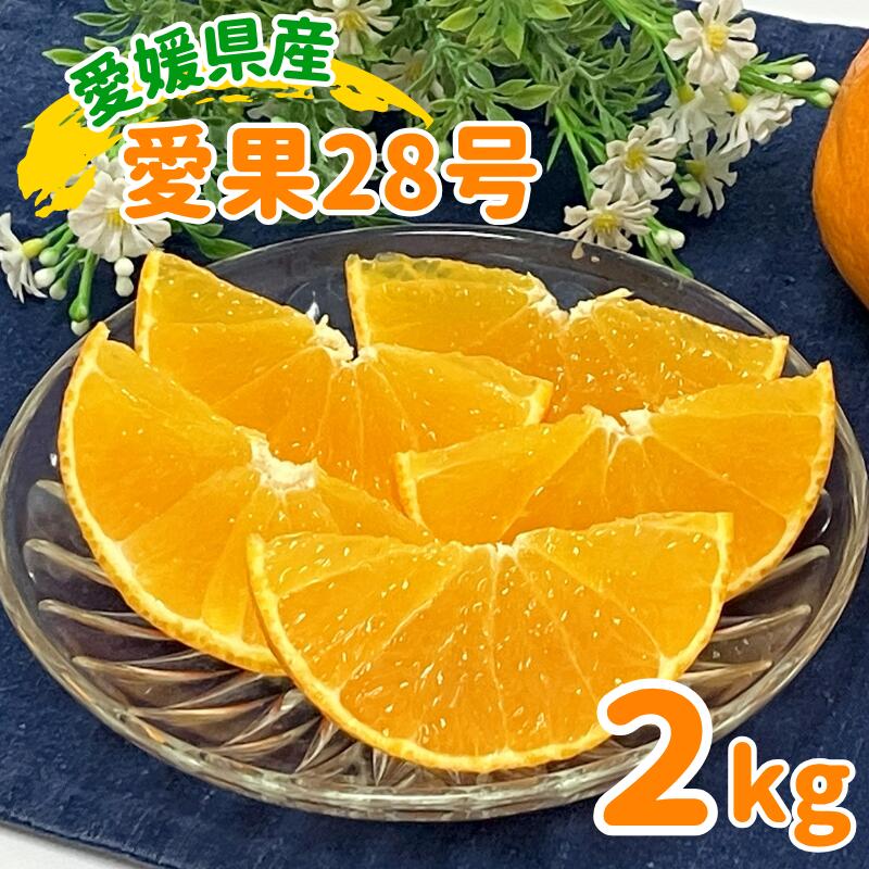 ڤդ뤵Ǽǡ۰282kgľͽ12ȯɲ̸갦ɲ͵̰ͽԡB333