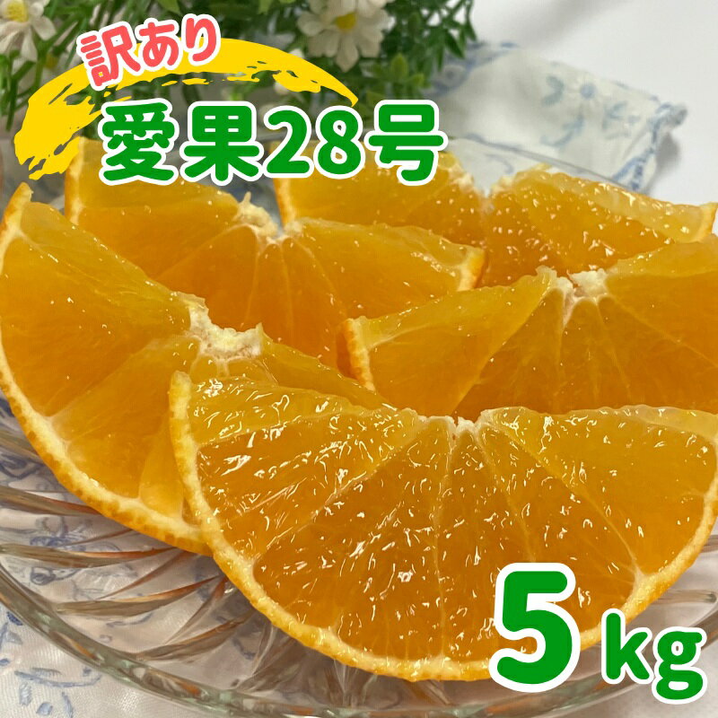 訳あり 愛果28号 5kg ご家庭用 みかん 愛媛 人気 数量限定 先行予約 柑橘 [2025年11月下旬発送]|