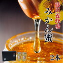 【ふるさと納税】はちみつ みかん蜜 2本 柑橘 みかん 純粋はちみつ 愛媛県産 藤田養蜂場 伊予市|B250