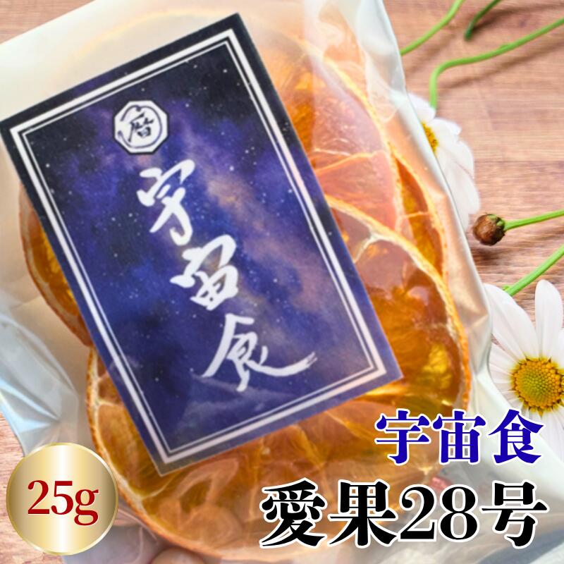 ڤդ뤵Ǽǡ۰28汧迩ɲߤB427