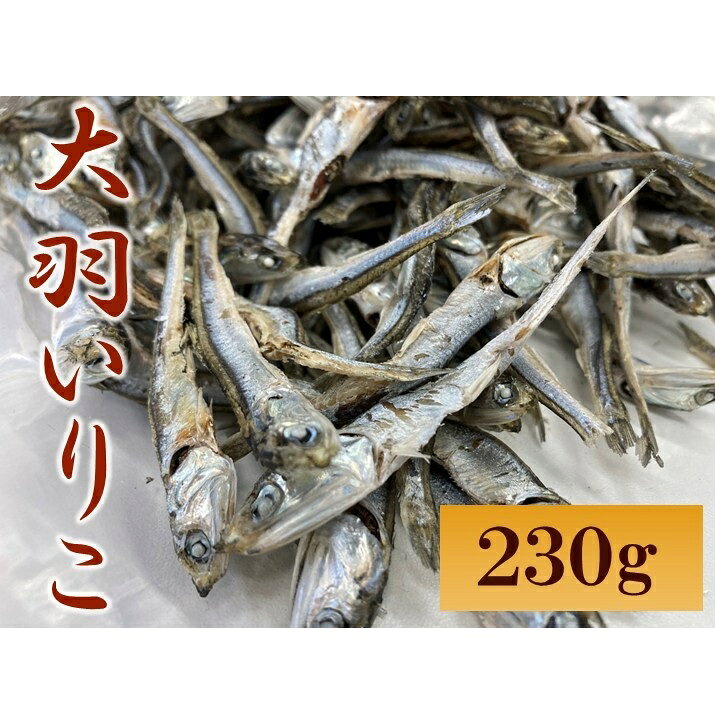 大羽いりこ かたくちいわし 230g 瀬戸内海 愛媛県産 出汁 おやつ カルシウム 健康 海の幸 乾物 魚介類 おつまみ 保存食 特産品｜A92