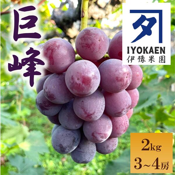 ڤդ뤵Ǽǡۼʤ2kg֤ɤƺʪɲ͵Ю̱ͽԡB389