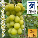 【ふるさと納税】シャインマスカット 約2kg ぶどう 葡萄 果物 愛媛 人気 伊豫果園 伊予市|C108