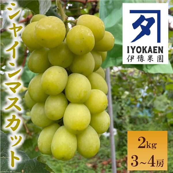 ڤդ뤵Ǽǡۥ㥤ޥå2kg֤ɤƺʪɲ͵Ю̱ͽԡC108