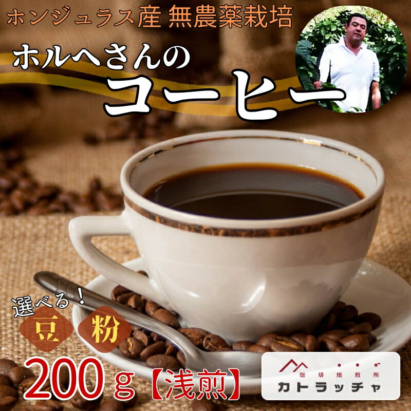 ڤդ뤵ǼǡۥҡҡƦ200gۥ󥸥饹̵ۥؤΥҡꥳץ쥼ȥեȰɲͽԡB433