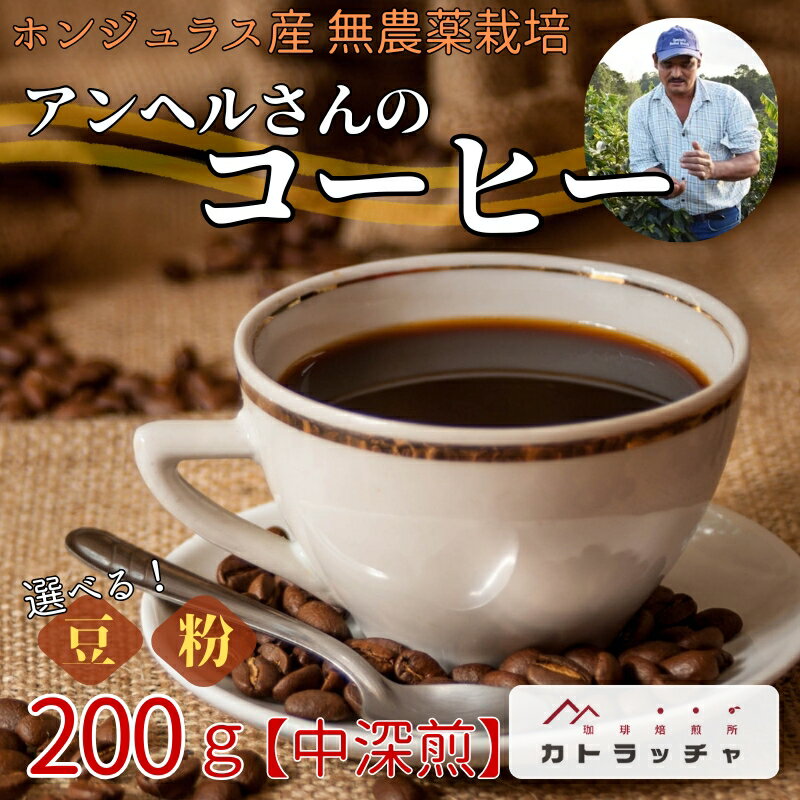 ڤդ뤵ǼǡۥҡҡƦ200gۥ󥸥饹濼̵إ뤵Υҡꥳץ쥼ȥեȰɲͽԡB432