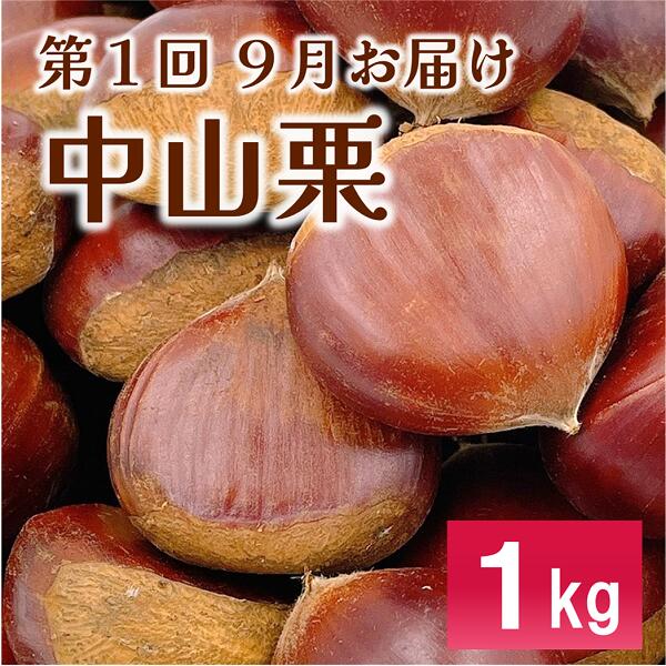 【ふるさと納税】【2026年先行予約】伊予市 特産定期便 全3回 中山栗・紅まどんな・伊予柑｜D48