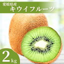 【ふるさと納税】キウイ 2kg 愛媛 国産キウイフルーツ ヘイワード 【2025年11月発送】 数量限定 伊予市|A20