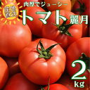 【ふるさと納税】トマト 2kg 麗月 産地直送 野菜 新鮮 サラダ 赤熟 くぼなか農園 愛媛 伊予市 | A66