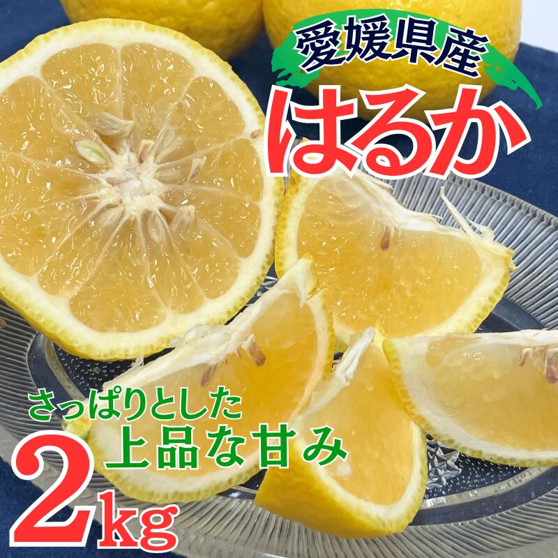 【ふるさと納税】はるか みかん 5kg 愛媛 人気 数量限定 柑橘 伊予市｜B162