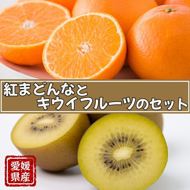 【ふるさと納税】みかん 愛媛 サンゴールドキウイ ゴールドキウイ 【2025年11月下旬順次発送予定】 サンゴールドまたはゴールドキウイと紅まどんなのセット 人...