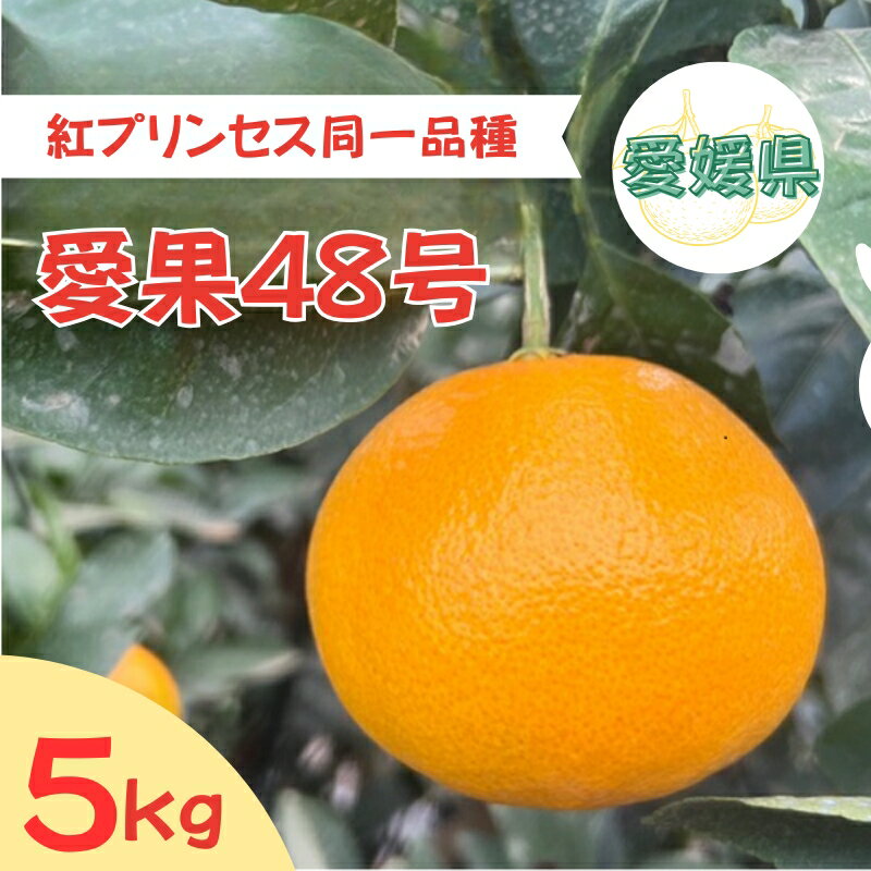 【ふるさと納税】【2026年3月発送予定】愛果48号 5kg 紅プリンセス同一品種 農園直送 みかん 愛媛 人気 数量限定 先行予約 柑橘 伊予市｜C93のサムネイル