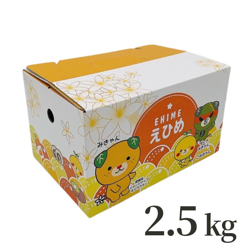 【ふるさと納税】【2027年先行予約】みかん せとか L～3Lサイズ 【選べる容量】 約2.5kg 約5kg バラ詰め ご家庭用 【2027年2月中旬より順次発送予定】 数量限定 人気 柑橘 フルーツ 国産 愛媛県産 愛媛 伊予市 f382108-iyo-10000307 愛媛県伊予市 サンプル画像3