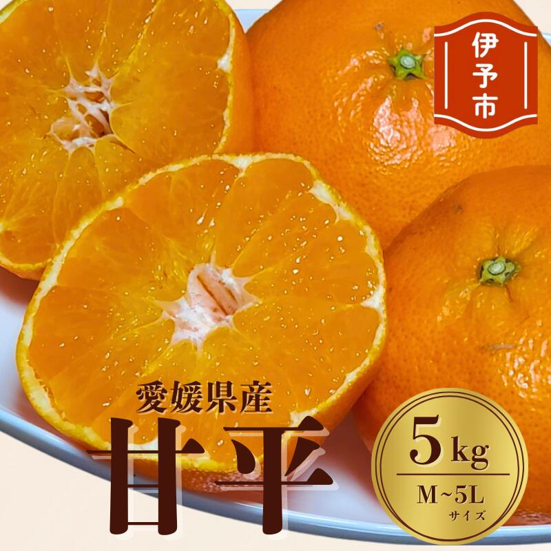 みかん 愛媛 甘平(5kg)サイズM〜5L 人気 数量限定 先行予約 柑橘 伊予市 [2026年1月下旬から順次発送予定]|