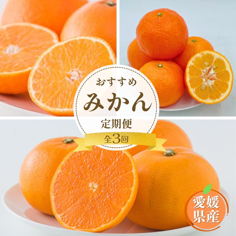 紅まどんな 伊予柑 せとか 定期便 全3回 みかんの定期便 人気 柑橘 愛媛 伊予市｜D57