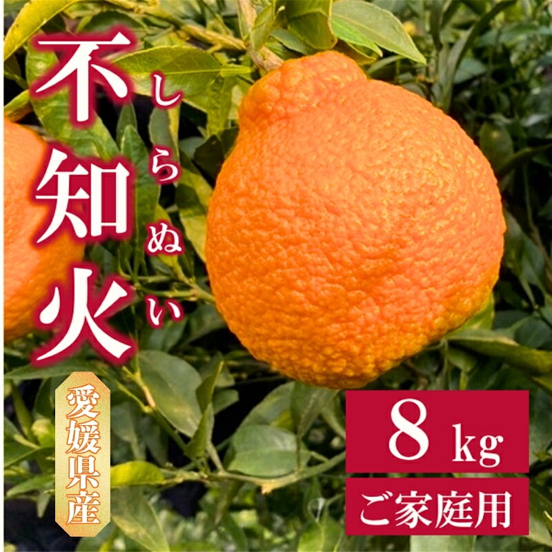 不知火 8kg ご家庭用 農園直送 先行予約 2025年3月発送 愛媛 数量限定 愛媛県産 人気 柑橘 伊予市｜B257