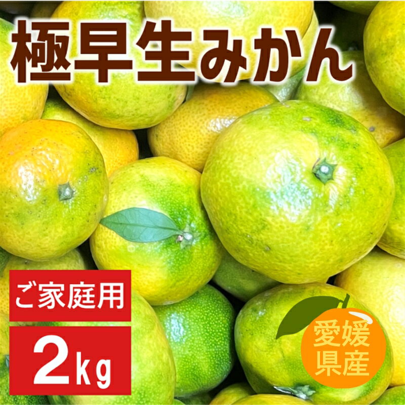 [2026年先行予約]極早生みかん 2kg [9月下旬以降発送予定] 農園直送 数量限定 みかん 愛媛県産 人気 柑橘 伊予市|A97