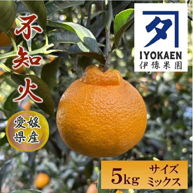 不知火 しらぬい サイズミックス 約5kg ご家庭用 みかん 愛媛 人気 柑橘 伊豫果園 伊予市｜B387