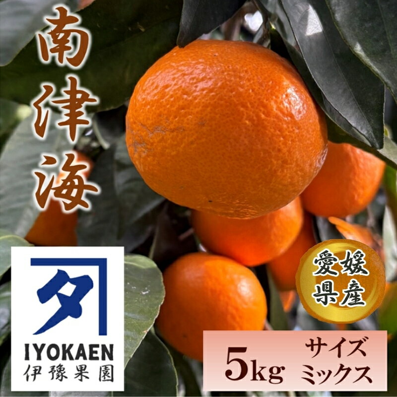 【ふるさと納税】南津海 サイズミックス 約5kg ご家庭用 みかん 愛媛 人気 柑橘 伊豫果園 伊予市｜B388