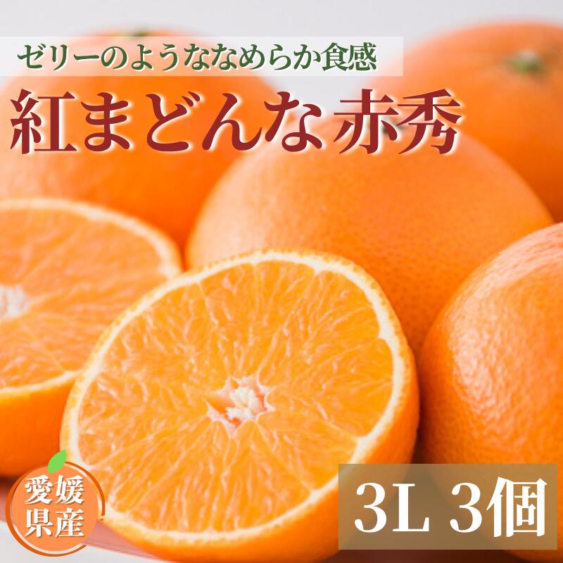 【2025年11月下旬から順次発送】みかん 愛媛 愛媛県産 紅まどんな 赤秀 3個入り 人気 数量限定 柑橘 伊予市｜B123