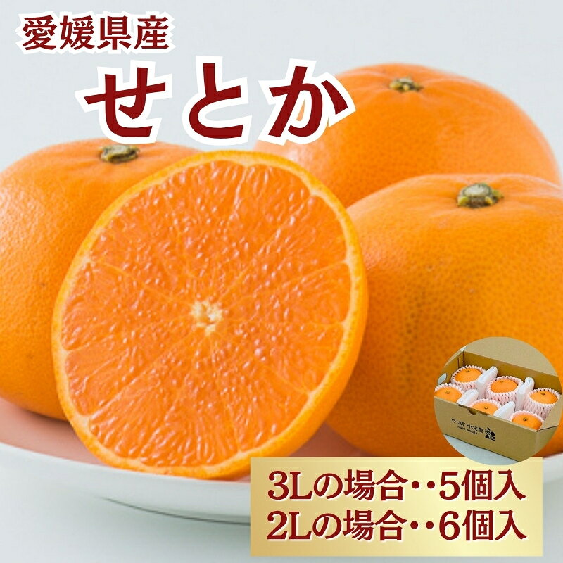 せとか 5～6個入り みかん 愛媛 人気 数量限定 先行予約 柑橘 伊予市｜B194