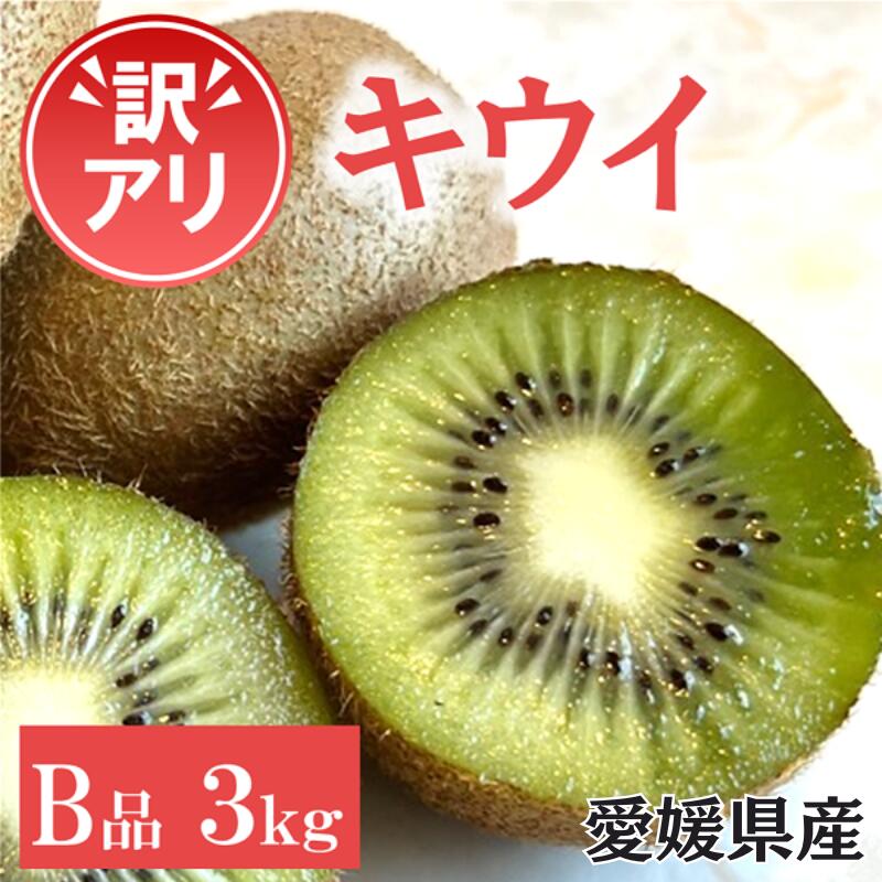 訳あり キウイ 3kg B品 愛媛 国産 キウイフルーツ ヘイワード 数量限定 伊予市 【2024年11月配送】｜B263