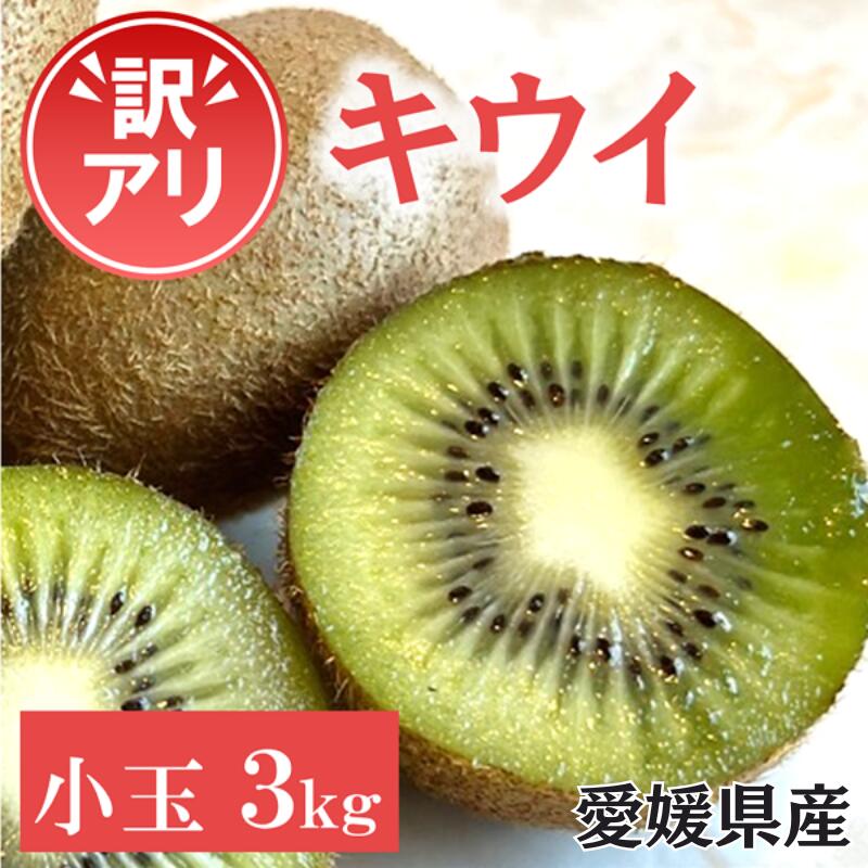訳あり キウイ 3kg 小玉 愛媛 国産 キウイフルーツ 規格外 数量限定 伊予市 【2024年11月配送】｜B264