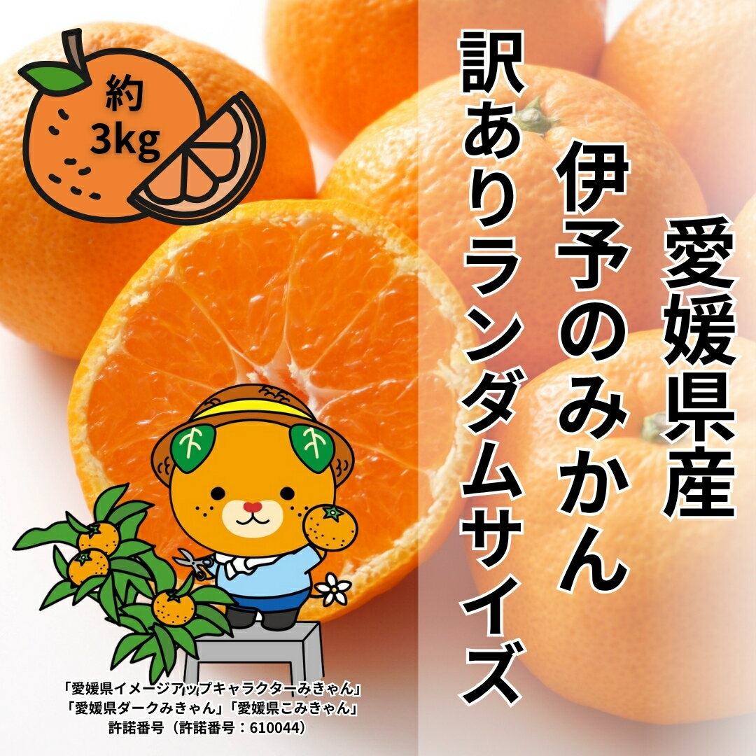 訳あり 伊予のみかん 約3kg サイズミックス ランダム [2025年11月下旬から順次発送予定] みかん 愛媛県産 数量限定 先行予約 柑橘 伊予市|