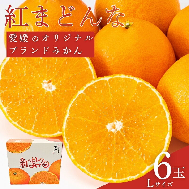 紅まどんな 愛媛 Lサイズ 6個 みかん 人気 数量限定 柑橘 伊予市[2025年11月下旬順次発送]|