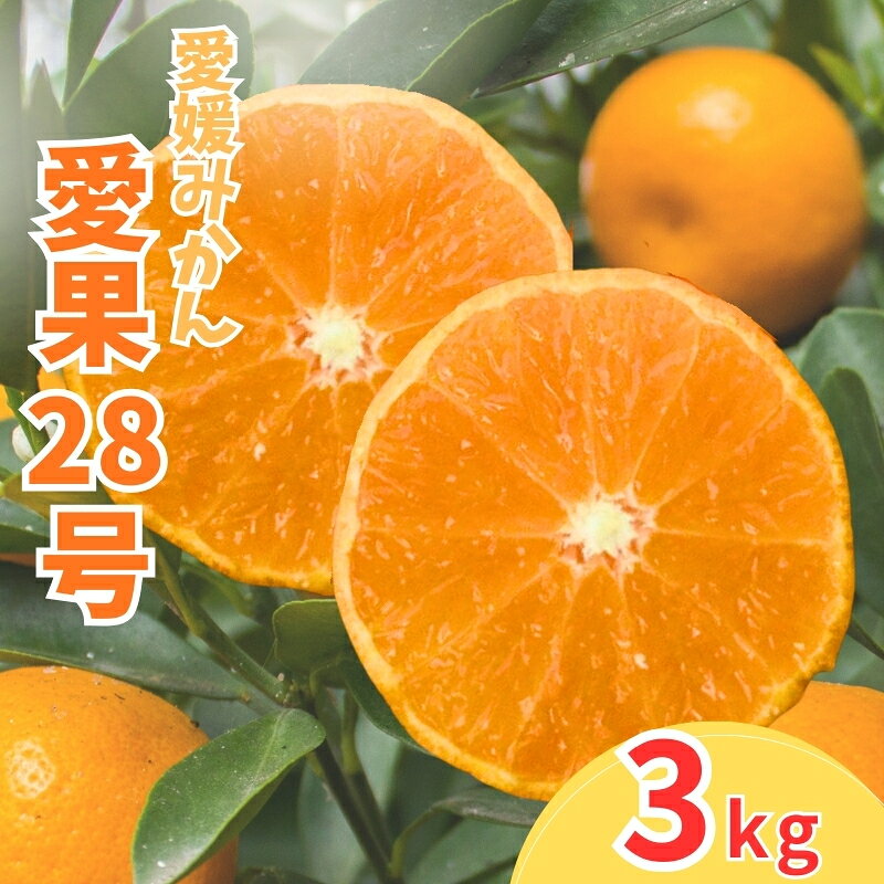 みかん 愛果28号 3キロ 紅まどんなと同一品種 愛媛県産 愛媛みかん 【12月から順次発送予定】 数量限定 柑橘 フルーツ おすすめ 愛媛 伊予市｜B520