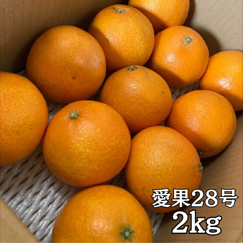 愛媛県伊予市の画像3