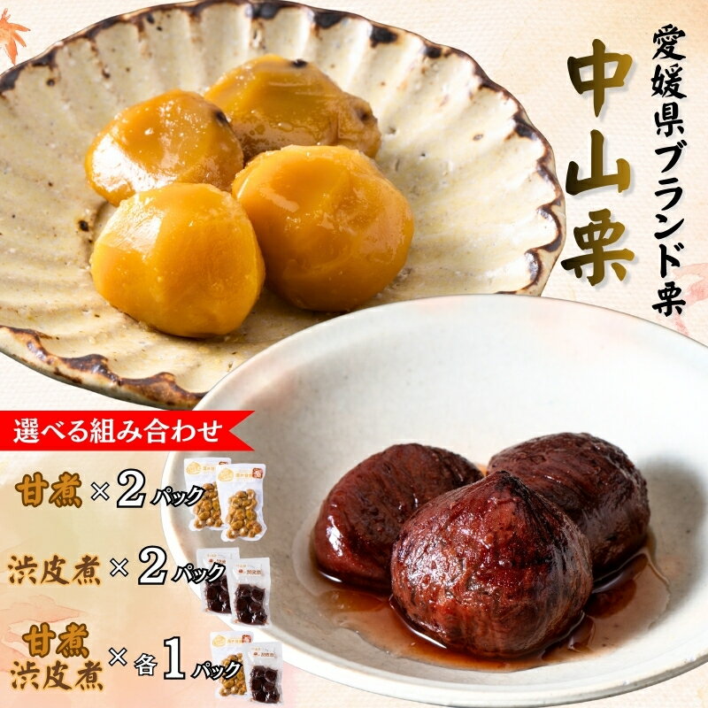 【ふるさと納税】栗 くり クリ 中山栗 甘煮 渋皮煮 【選べる組み合わせ】 2パック 真空包装 ゆうパケット 常温 愛媛 着色料不使用 無添加 少量パック 手作り デザート おやつ きんとん お正月 国産 伊予市