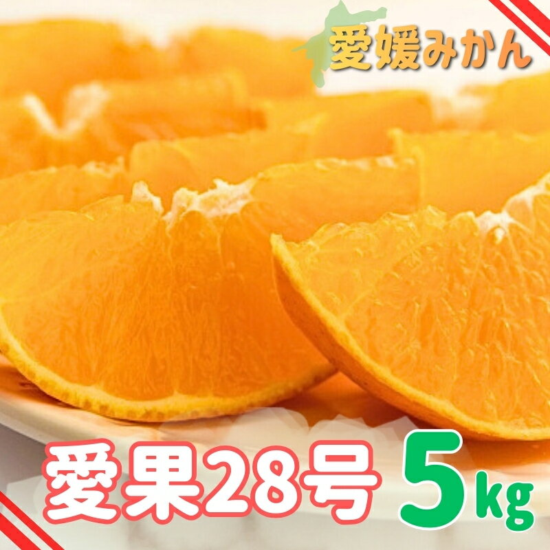 【ふるさと納税】みかん 愛媛 愛果28号 紅まどんなと同一品種 5kg 家庭用 人気 数量限定 先行予約 柑橘 伊予市【2026年11月下旬以降順次発送｜C120