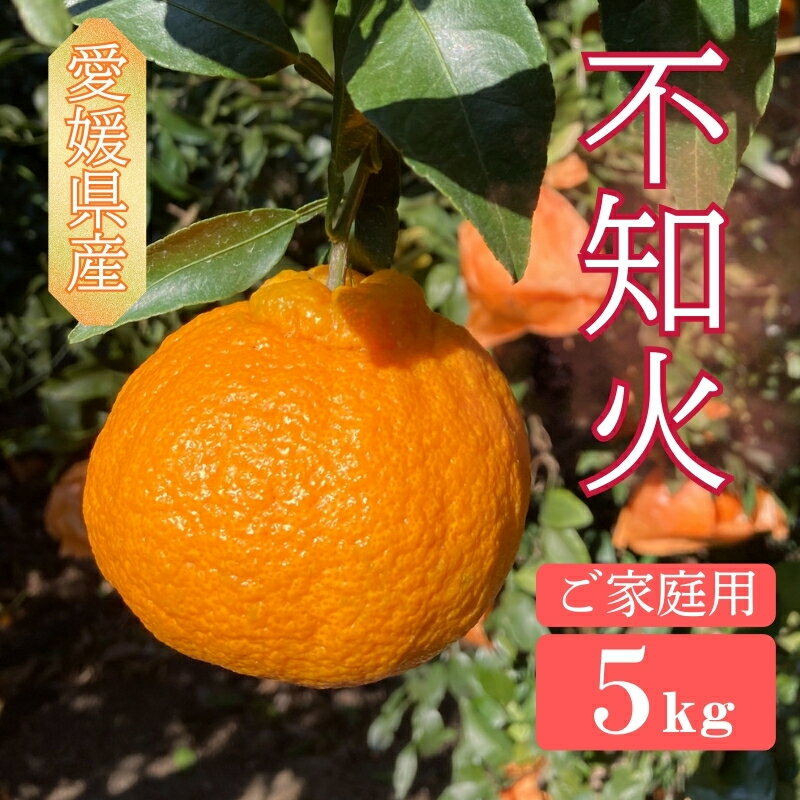[2027年先行予約]不知火 5kg ご家庭用 農園直送 先行予約 2027年4月発送 愛媛 数量限定 愛媛県産 人気 柑橘 伊予市|