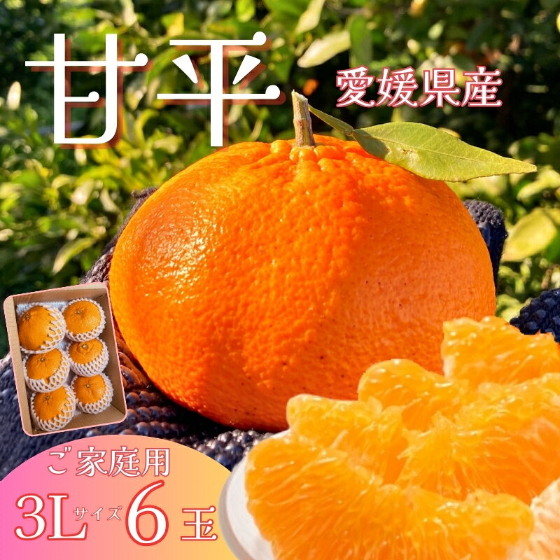 甘平 3L 6玉（家庭用）みかんのおと みかん 愛媛 先行予約 【2026年3月下旬以降発送】 数量限定 愛媛県産 人気 柑橘 伊予市｜C182