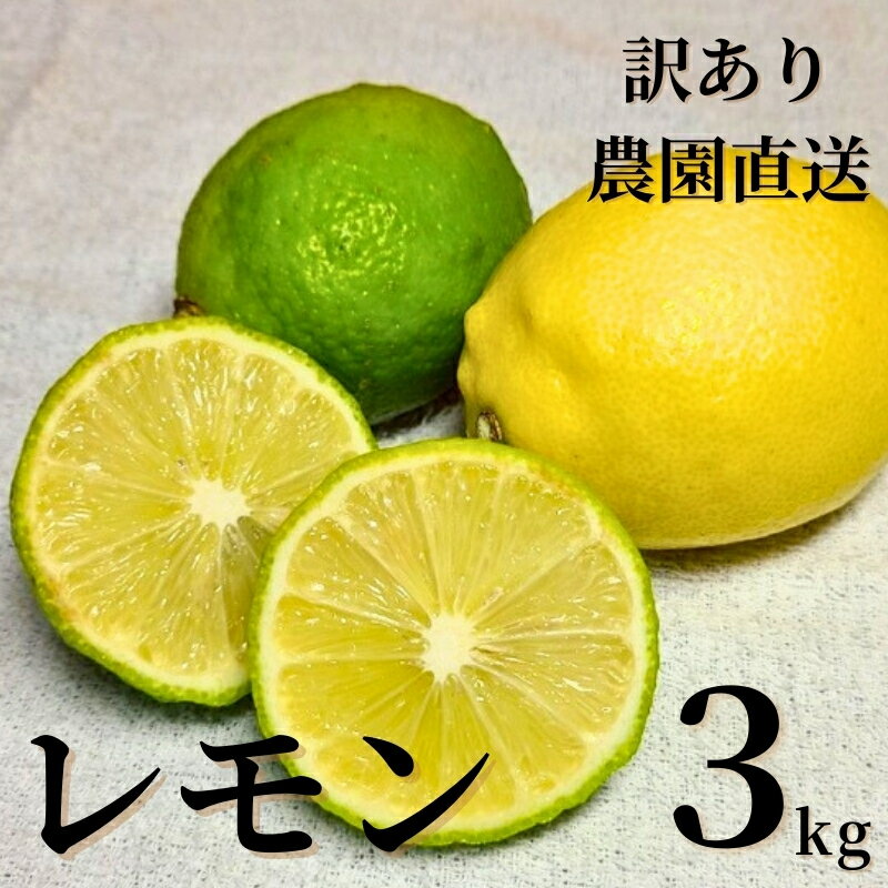 【ふるさと納税】レモン 3kg ご家庭用 バラ詰め ユーレカ 愛媛 【2026年10月から順次発送予定】 数量限定 檸檬 柑橘 フルーツ ビタミン 国産 伊予市｜B459