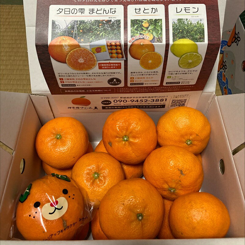 【ふるさと納税】【2027年先行予約】みかん 甘平 3kg ご家庭用 バラ詰め 愛媛 【2027年2月から順次発送予定】 数量限定 柑橘 フルーツ 国産 伊予侍ファーム 伊予市｜B458 f382108-iyo-10001016 愛媛県伊予市 サンプル画像3
