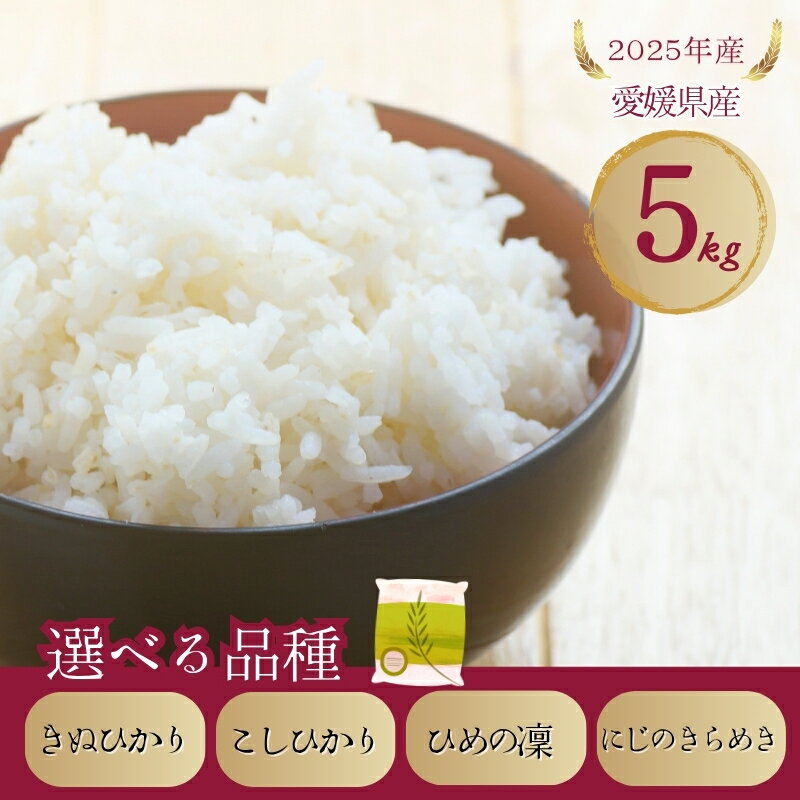 樂天商城 - 【ふるさと納税】お米 5kg きぬひかり こしひかり ひめの凜 にじのきらめき【選べる品種】令和7年産 愛媛県 米 愛媛県産 精米 米 こめ コメ 白米 ごはん ライス 愛媛 伊予市
