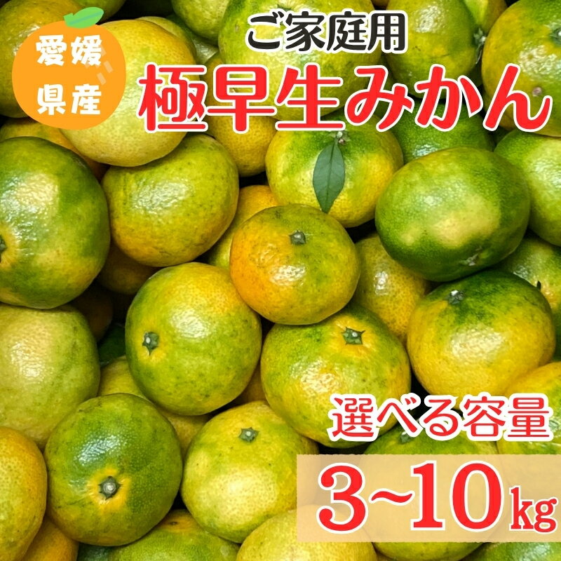 【ふるさと納税】みかん 極早生みかん ご家庭用 【選べる容量】 3kg 10kg 農園直送 先行予約 【10月上旬から順次発送予定】 愛媛 数量限定 愛媛県産 ゆうやけファーム 人気 柑橘 伊予市