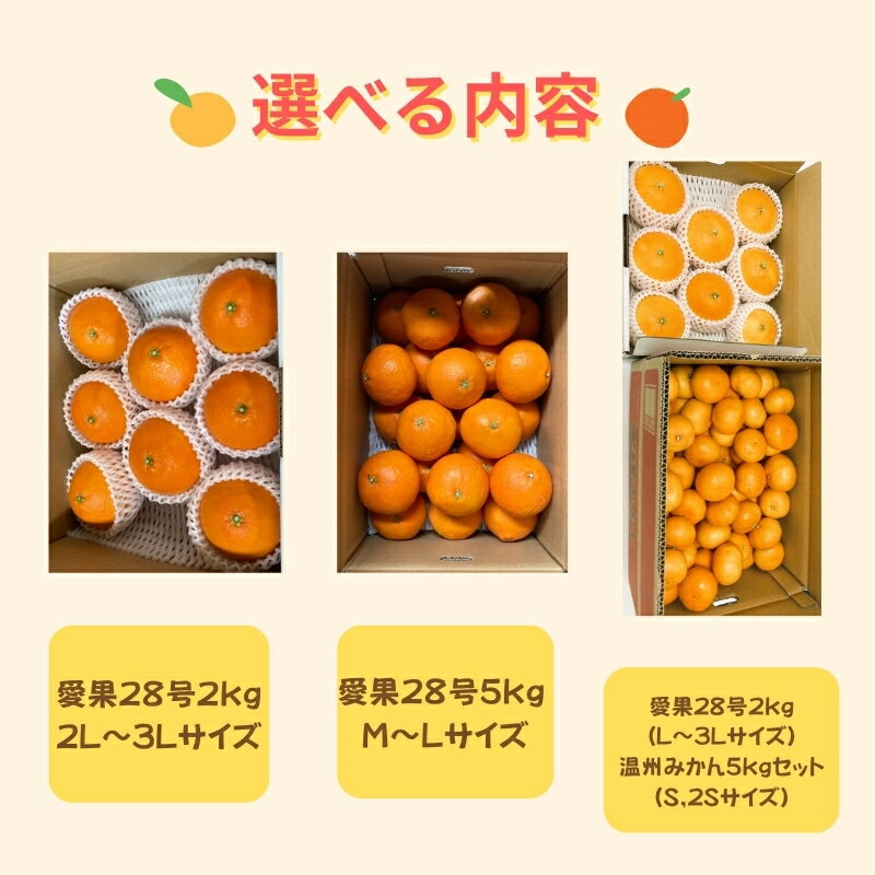 【ふるさと納税】【2026年先行予約】愛果28号 紅まどんなと同一品種 温州みかん みかん 愛媛県産 【選べる内容】 2kg 5kg みかんセット 【12月上旬から順次発送予定】 数量限定 人気 柑橘 伊予市