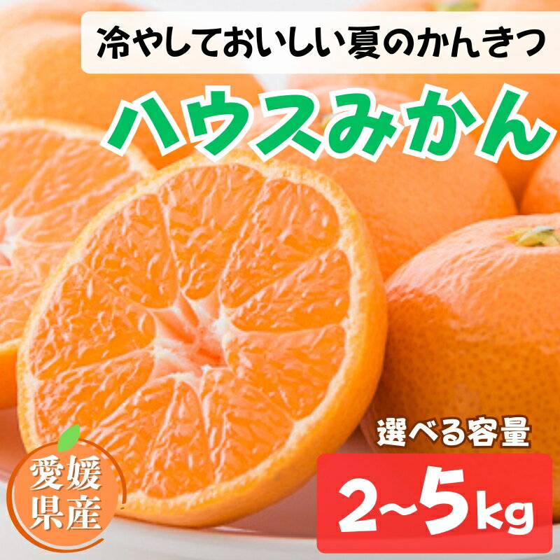 ハウスみかん ご家庭用 [選べる容量] 2kg 5kg サイズミックス [7月下旬から順次発送予定] みかん 人気 数量限定 柑橘 愛媛 伊予市