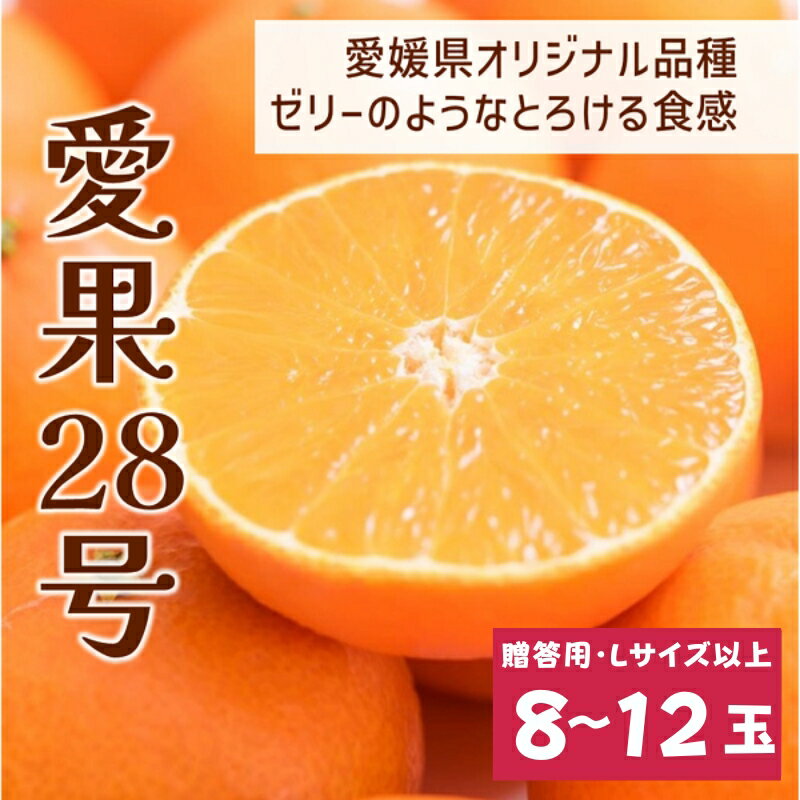 [2026年先行予約]みかん愛果28号 8〜12玉 Lサイズ以上 贈答用 紅まどんな同一品種 [2026年12月以降順次発送予定] 愛媛 数量限定 愛媛県産 人気 柑橘 フルーツ 国産 おすすめ 伊予市|